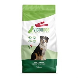 VIGORDOG ENERGIA KG. 20